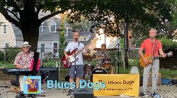 Blues Dogs